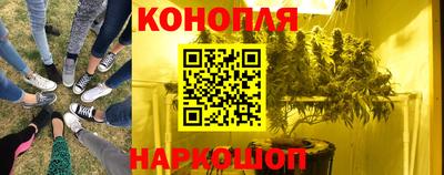 тгк Будённовск