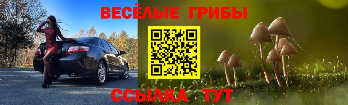 Псилоцибиновые грибы Cubensis Магнитогорск